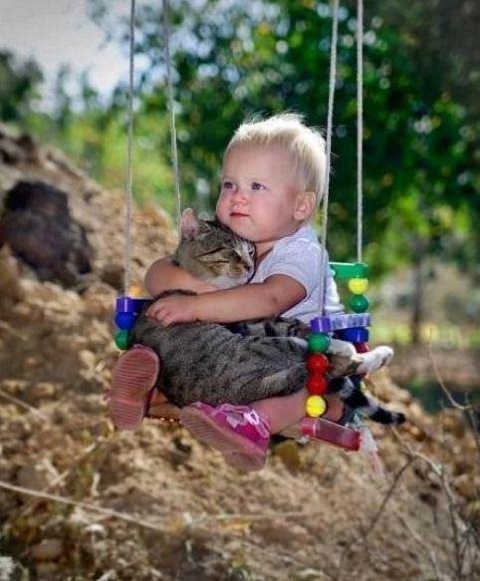 Babies and Pets 20