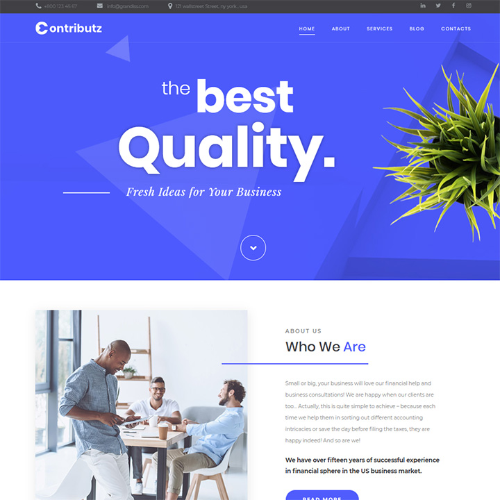 Contributz — Business Consulting Elementor Template